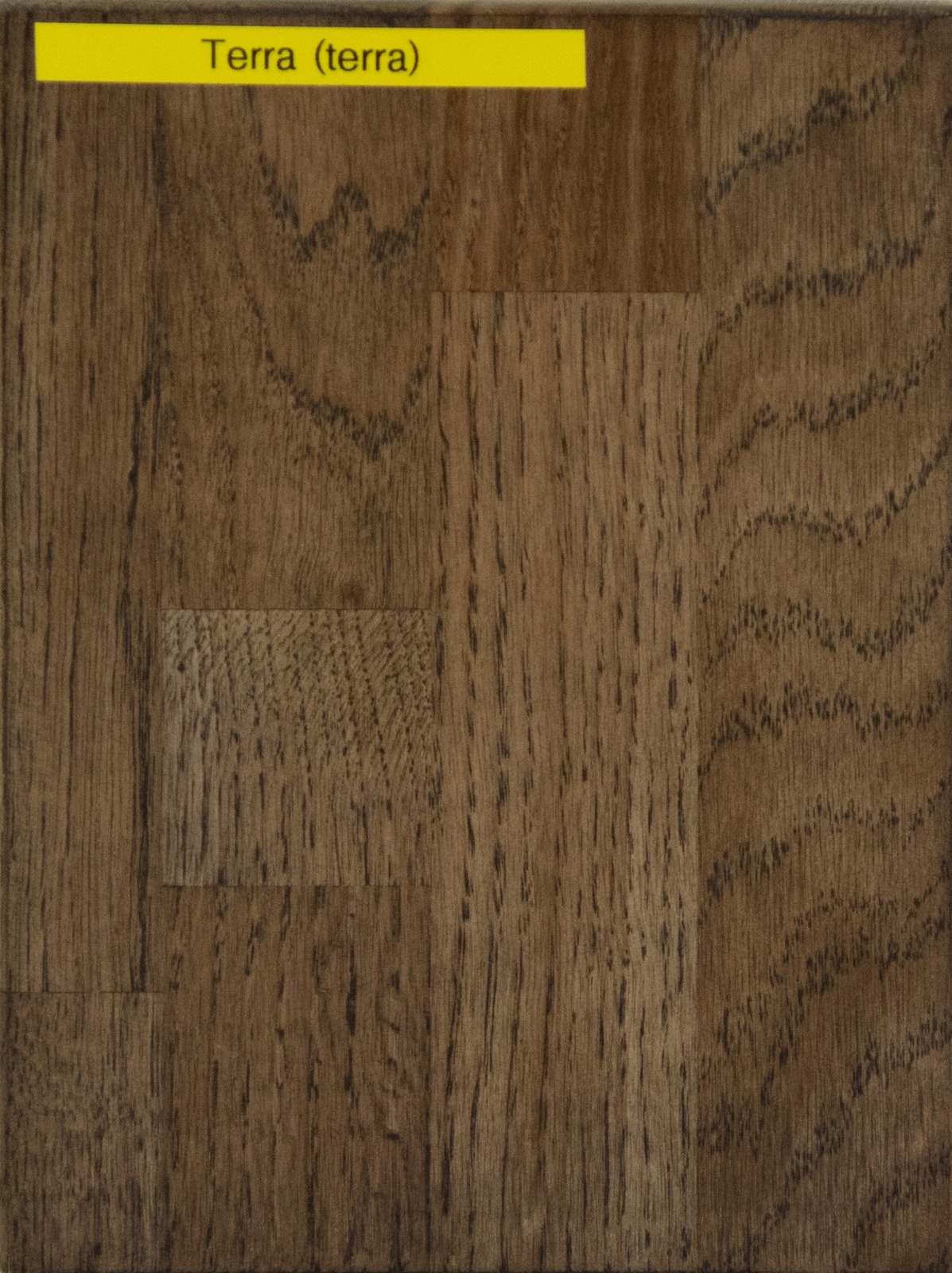 Oak sample TERRA